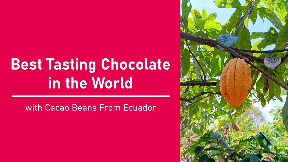 Ecuadorian Cacao